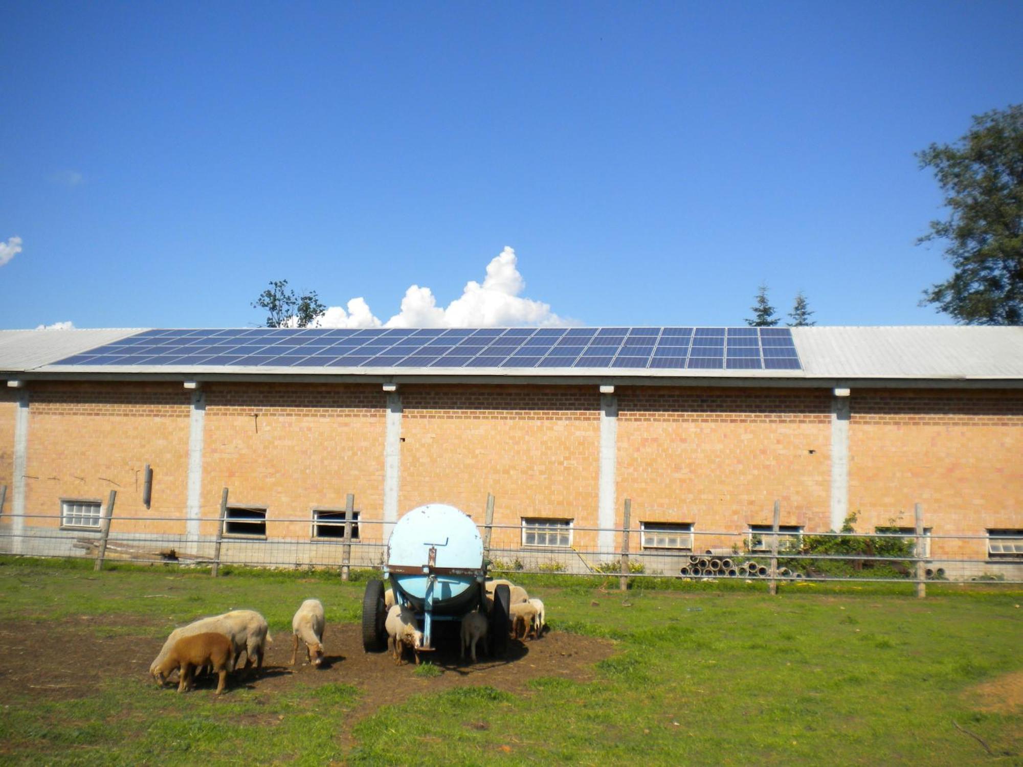 Agriturismo La Dimora Del Contadino Mondovì Exterior foto